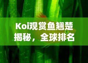 Koi觀賞魚(yú)翹楚揭秘，全球排名及探尋頂級(jí)魚(yú)界魅力