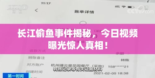 長(zhǎng)江偷魚(yú)事件揭秘，今日視頻曝光驚人真相！