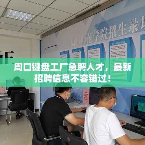 周口鍵盤工廠急聘人才，最新招聘信息不容錯過！