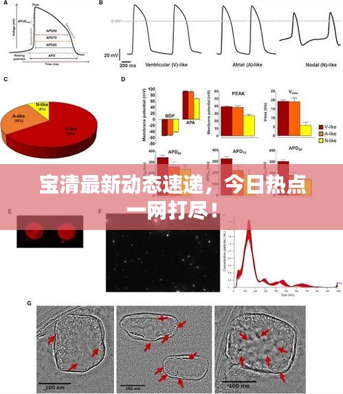 寶清最新動(dòng)態(tài)速遞，今日熱點(diǎn)一網(wǎng)打盡！