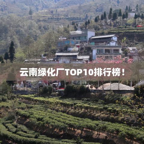 云南綠化廠TOP10排行榜！