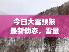 今日大雪預(yù)報最新動態(tài)，雪量、時間一覽無余！