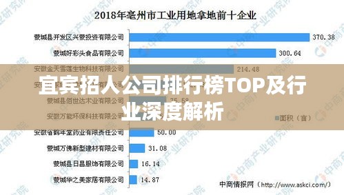 宜賓招人公司排行榜TOP及行業(yè)深度解析