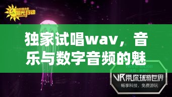 獨家試唱wav，音樂與數字音頻的魅力探索