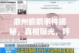 潮州偷鵝事件揭秘，真相曝光，呼吁社會關(guān)注，視頻全集最新更新