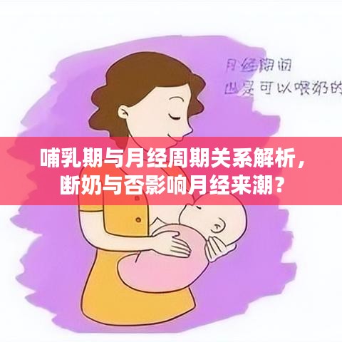 哺乳期與月經(jīng)周期關(guān)系解析，斷奶與否影響月經(jīng)來(lái)潮？