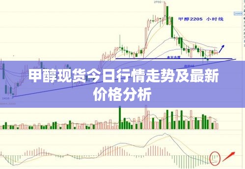 甲醇現貨今日行情走勢及最新價格分析