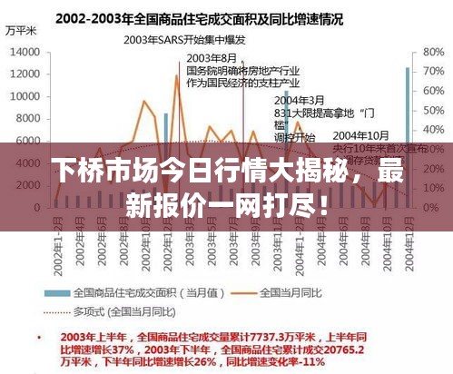 下橋市場今日行情大揭秘，最新報價一網(wǎng)打盡！