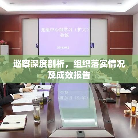 巡察深度剖析，組織落實(shí)情況及成效報(bào)告