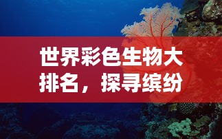 世界彩色生物大排名，探尋繽紛生命之美