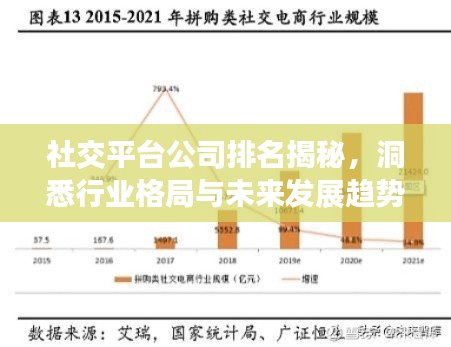 社交平臺(tái)公司排名揭秘，洞悉行業(yè)格局與未來發(fā)展趨勢(shì)