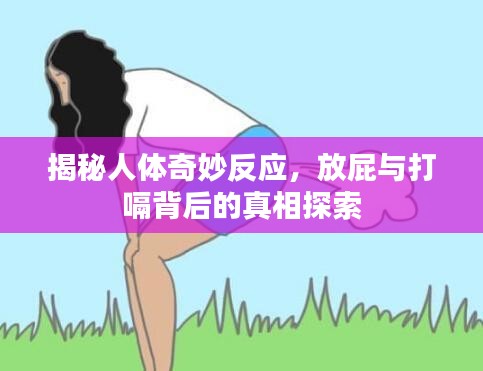 揭秘人體奇妙反應(yīng)，放屁與打嗝背后的真相探索