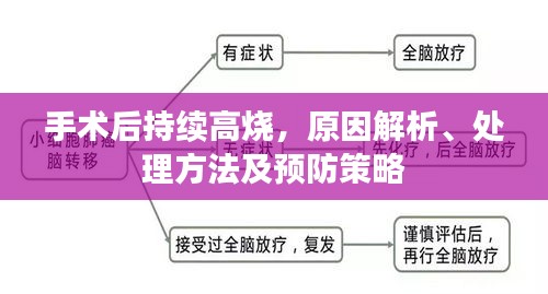 手術(shù)后持續(xù)高燒，原因解析、處理方法及預(yù)防策略