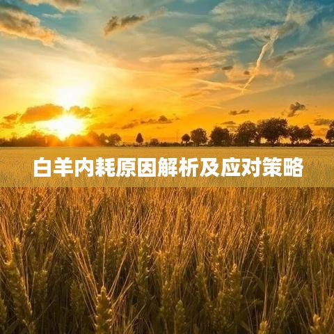 白羊內(nèi)耗原因解析及應(yīng)對策略