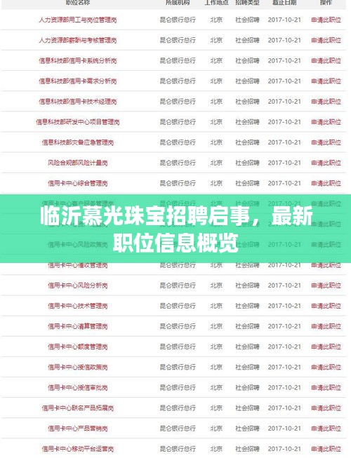 臨沂慕光珠寶招聘啟事，最新職位信息概覽