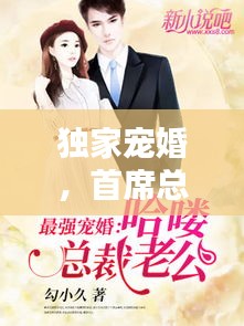 獨(dú)家寵婚，首席總裁再次深情相遇