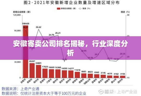 安徽寄賣公司排名揭秘，行業(yè)深度分析