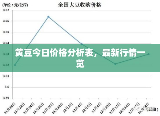 2025年2月16日 第10頁