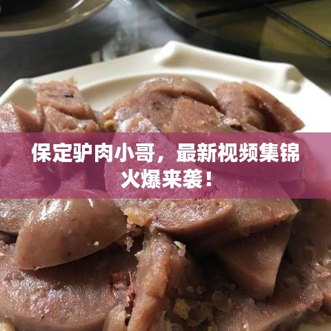 保定驢肉小哥，最新視頻集錦火爆來襲！