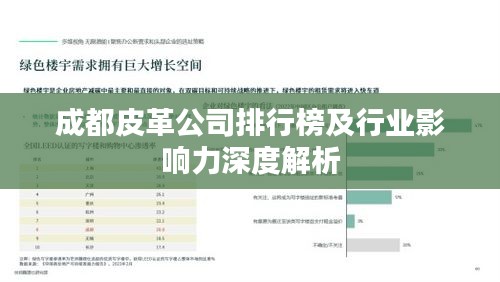 成都皮革公司排行榜及行業(yè)影響力深度解析