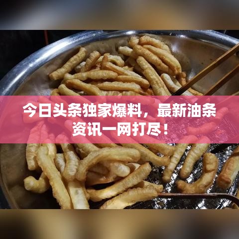 今日頭條獨家爆料，最新油條資訊一網(wǎng)打盡！