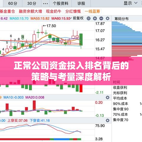 正常公司資金投入排名背后的策略與考量深度解析