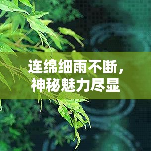 連綿細雨不斷，神秘魅力盡顯