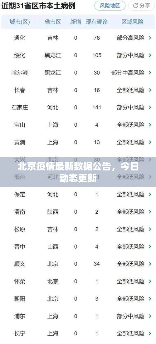 2025年2月19日 第11頁