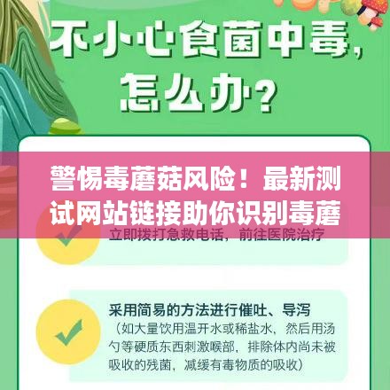 警惕毒蘑菇風險！最新測試網(wǎng)站鏈接助你識別毒蘑菇，保障健康