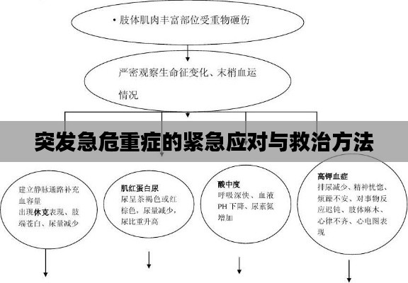 突發(fā)急危重癥的緊急應(yīng)對與救治方法