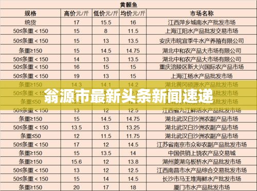 翁源市最新頭條新聞速遞