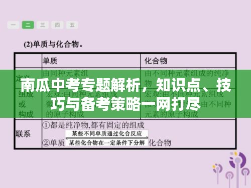 南瓜中考專題解析，知識點(diǎn)、技巧與備考策略一網(wǎng)打盡