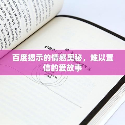 2025年2月20日 第5頁