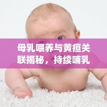 母乳喂養(yǎng)與黃疸關(guān)聯(lián)揭秘，持續(xù)哺乳助力退黃，科學(xué)解讀黃疸與母乳關(guān)系