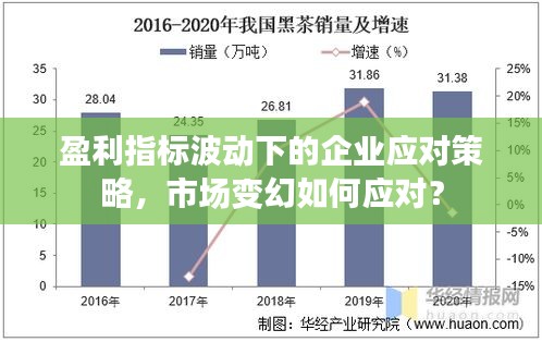 盈利指標波動下的企業(yè)應對策略，市場變幻如何應對？