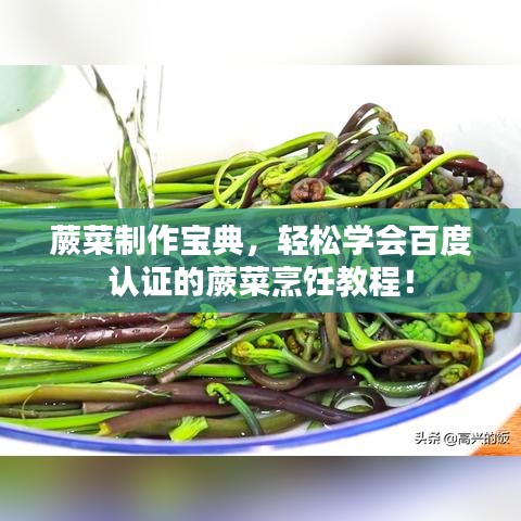 蕨菜制作寶典，輕松學會百度認證的蕨菜烹飪教程！