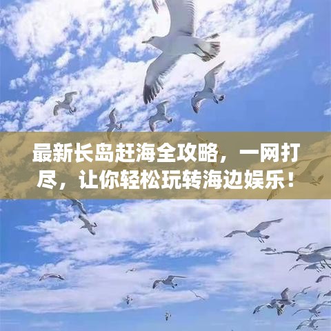 最新長島趕海全攻略，一網(wǎng)打盡，讓你輕松玩轉(zhuǎn)海邊娛樂！