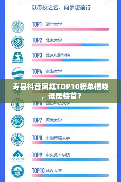 壽縣抖音網(wǎng)紅TOP10榜單揭曉，誰居榜首？