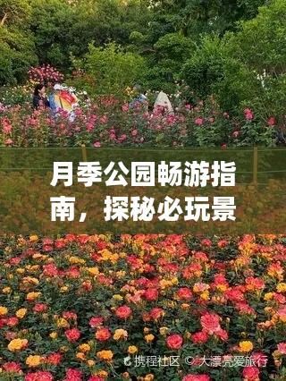 月季公園暢游指南，探秘必玩景點(diǎn)，輕松開啟浪漫之旅！